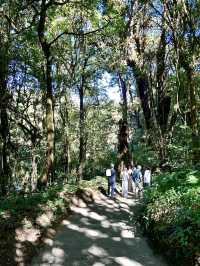 เส้นทางศึกษาธรรมชาติอ่างกา🌳