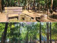จุดชมวิวสวย 🏞 พิกัด อุทยานแห่งชาติทองผาภูมิ