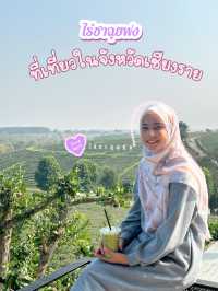 ไร่ชาฉุยฟง