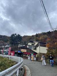 Mount Fuji in November 2024