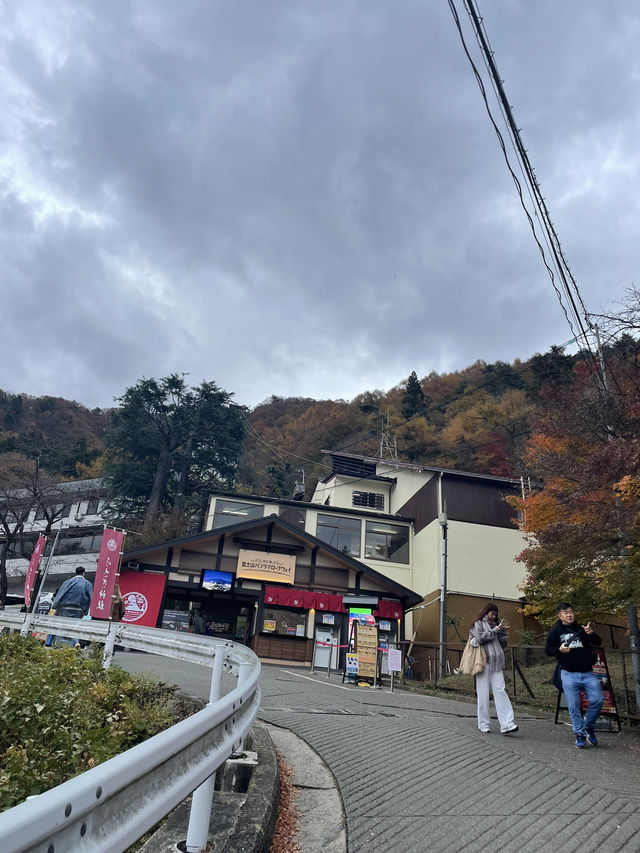 Mount Fuji in November 2024