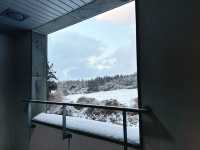 ❄️☃️🧤 제주 겨울의 기억 속 한 장면