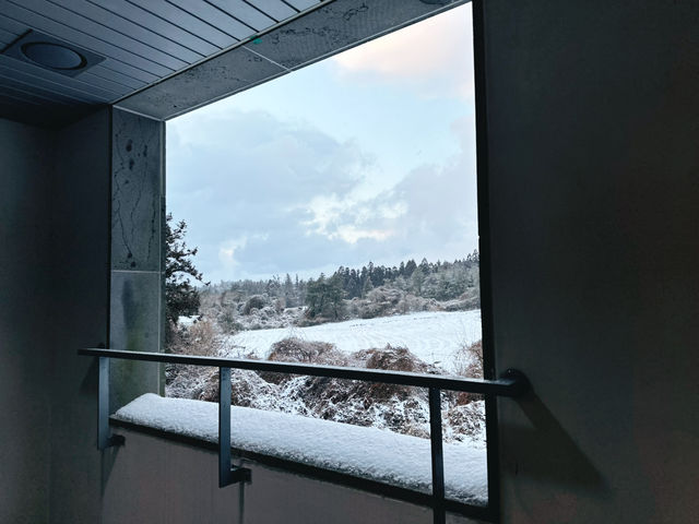 ❄️☃️🧤 제주 겨울의 기억 속 한 장면