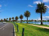 Rev Up at Albert Park, Melbourne