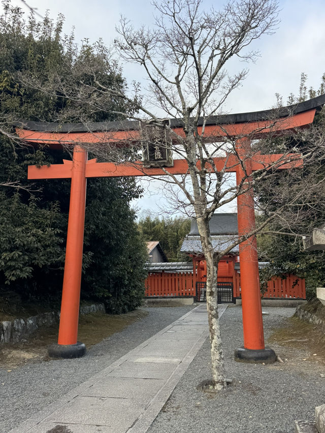 Relaxing Tenryu-ji Garden, Kyoto 🇯🇵