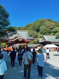 ไหว้พระ ขอพร ที่ศาลเจ้า | คามาคุระ ⛩️🏮