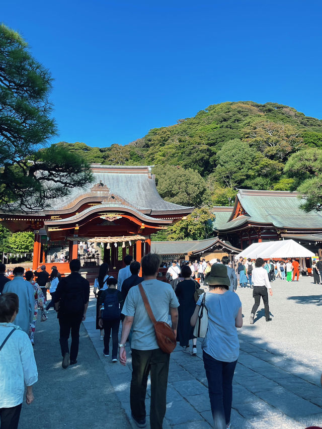 ไหว้พระ ขอพร ที่ศาลเจ้า | คามาคุระ ⛩️🏮