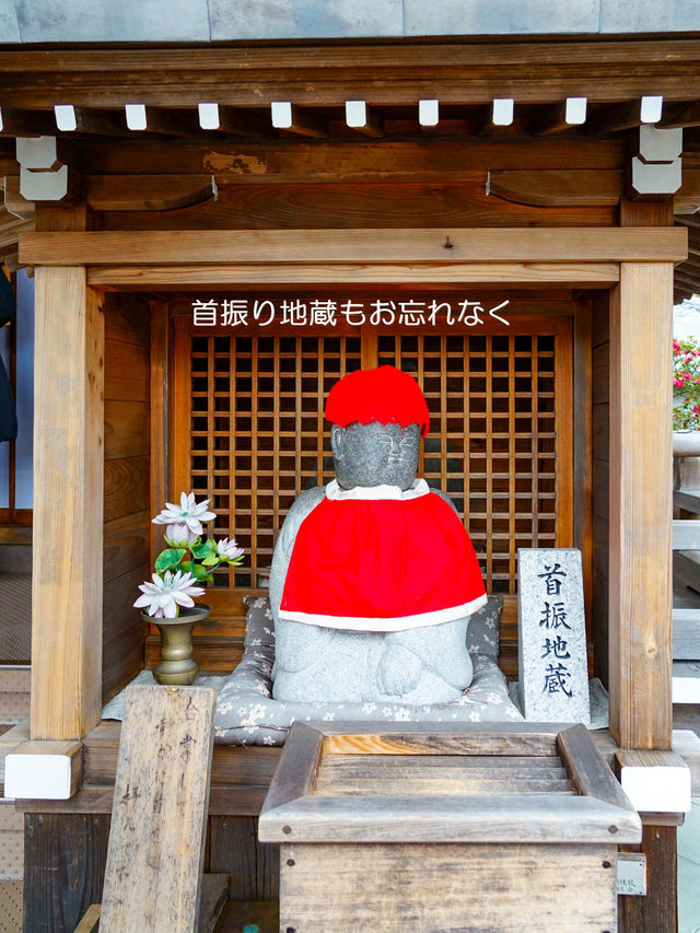 混んでいても行きたい京都の定番【清水寺】