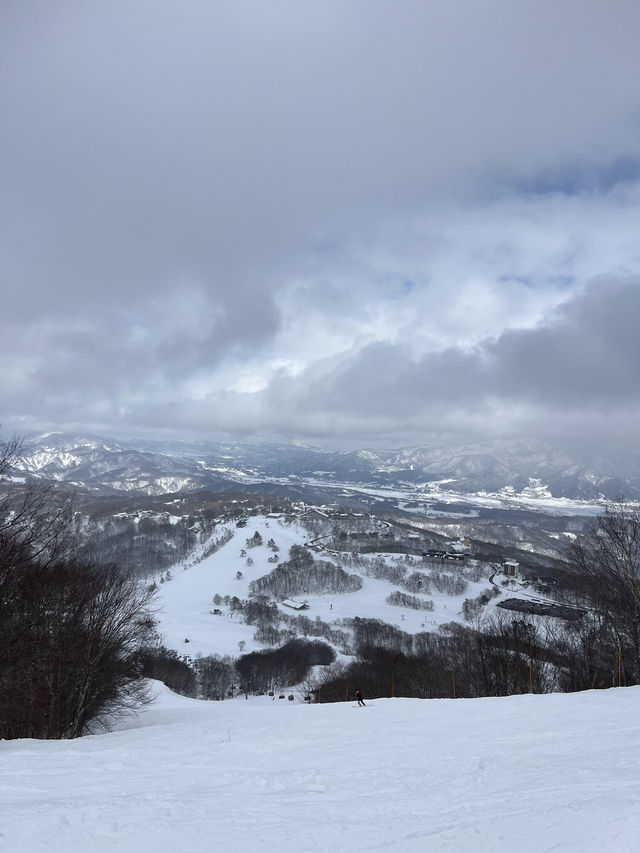 【斑尾高原🇯🇵】パウダースノーを楽しめる大型スキー場⛷
