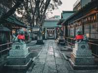 【名古屋】安産・子授けのご利益!名古屋浅間神社⛩️