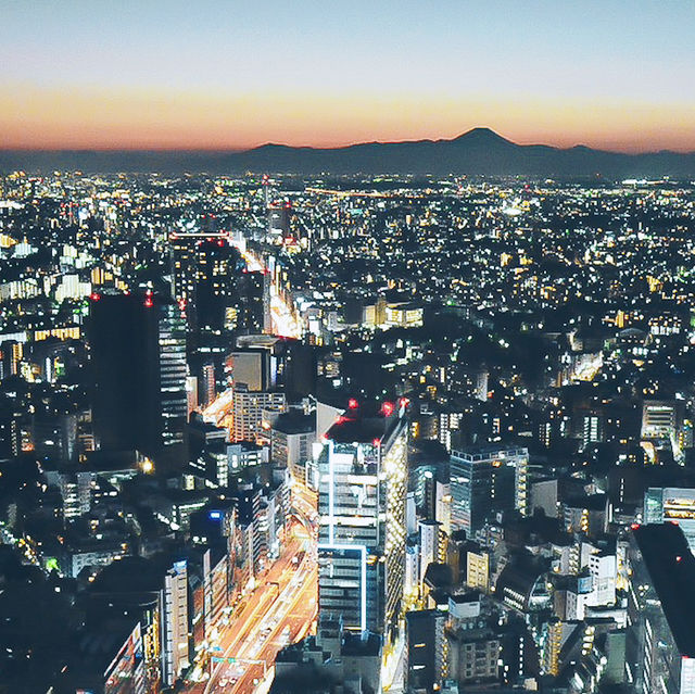 【東京】圧巻の絶景！SHIBUYA SKYで東京を一望 🌆✨