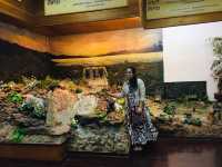เที่ยวพิพิธภัณฑ์ของดีเมืองกาฬสินธุ์