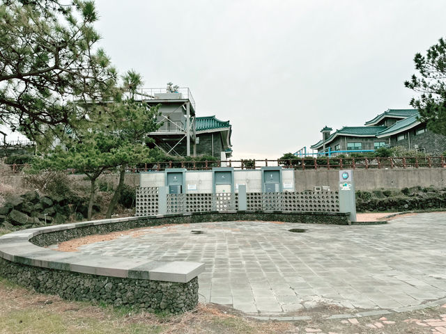 🆓🈚️ 무료 관광지 - 제주 밭담