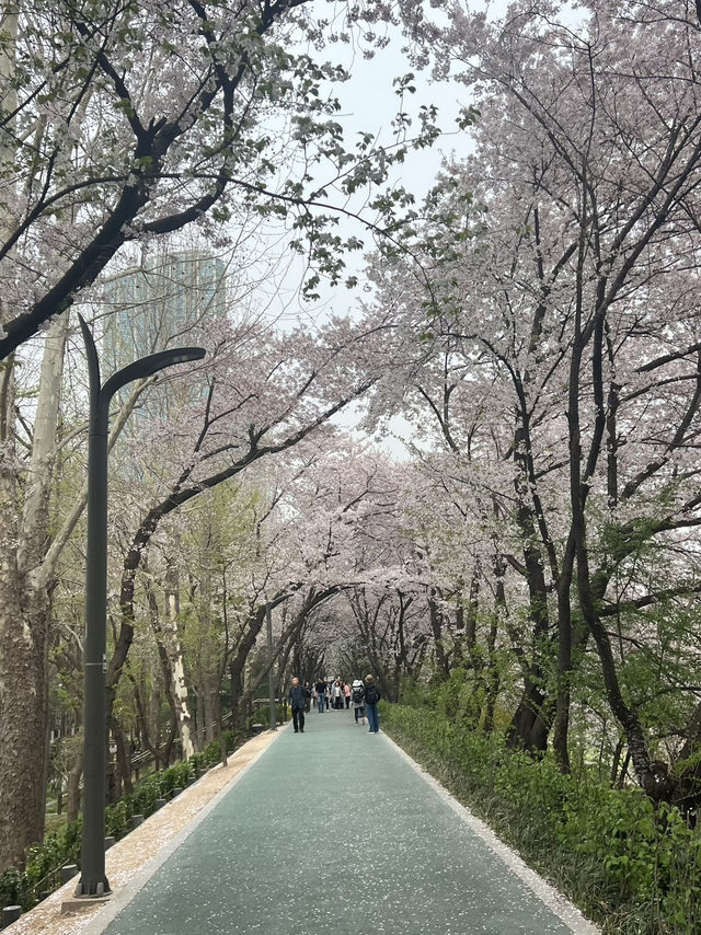 คลอง 양재천 (ยางแจชอน)