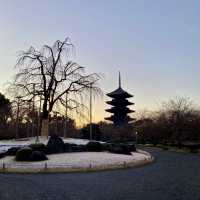 【京都】気軽に泊まれる星野リゾート　OMO3京都東寺