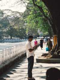 Kandy's vibrant streets
