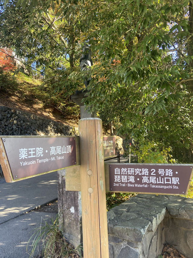 A Quick Mountain Hike to Mt. Takao