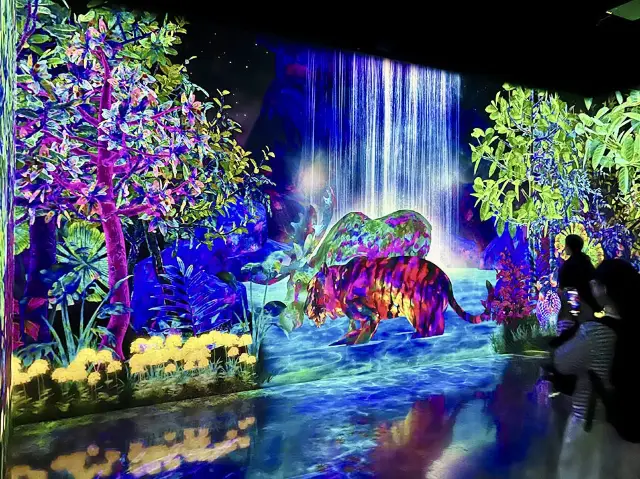 福岡TeamLab Forest，超乎想像的數位藝術展覽！✨