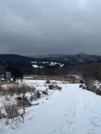 옛날부터 노루가 많이 살았던 또 다른 제주 설경 명소❄️