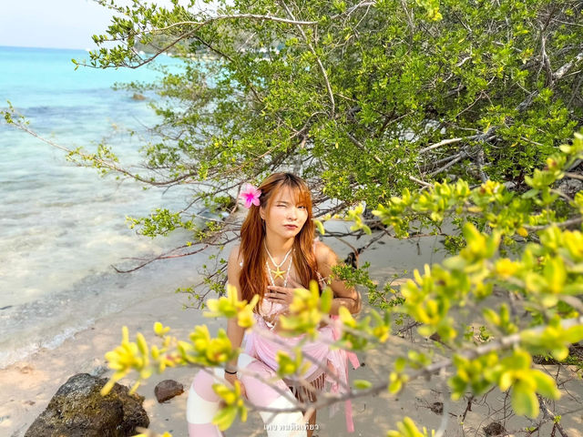 หาดเทียน เกาะล้าน น้ำใส หาดทรายขาว