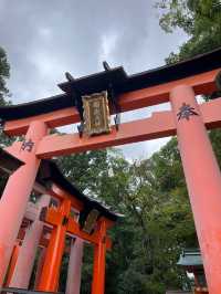 伏見稻荷大社：萬千鳥居下的壯麗祈願之旅