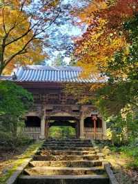 自然に溶け込む県下随一の紅葉の名所