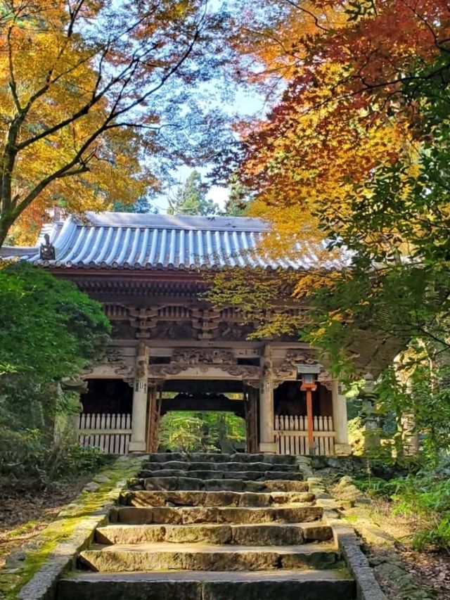 自然に溶け込む県下随一の紅葉の名所