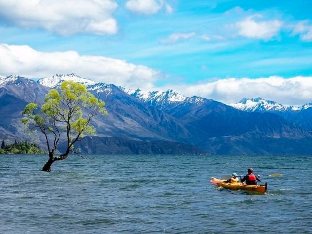 湖に佇む孤高のシンボル！「That Wanaka Tree」の神秘的な美しさ