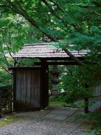 景點推薦：舊朝倉家住宅——東京市中心的日式傳統建築
