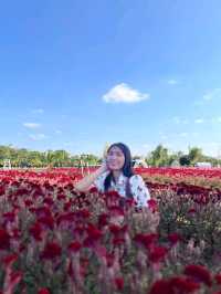 เที่ยวคาเฟ่เลิงนกทากัน