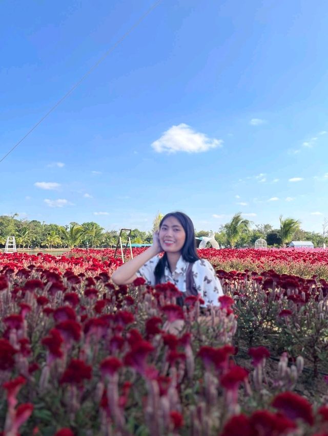 เที่ยวคาเฟ่เลิงนกทากัน