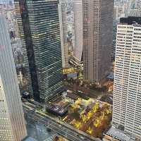 Tokyo Metropolitan Government Building