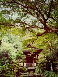  【神奈川県　北鎌倉の円覚寺でメディテーションと芥川文学の世界観に浸るひと時】