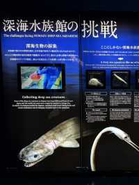 沼津港深海水族館：探索神秘深海世界的奇幻之旅！🐠#東京近郊