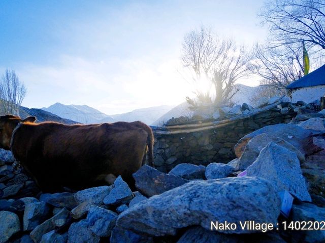 Nako Village