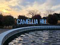 A nice visit to Camellia Hill at Jeju