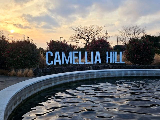 A nice visit to Camellia Hill at Jeju