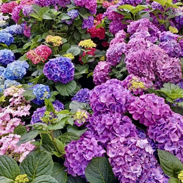 A Day Trip to Zhuzihu