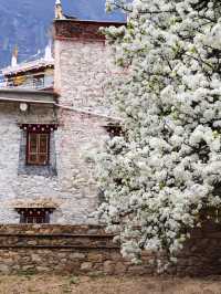 Historical in Perfect Blend of Cultural Village