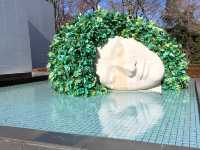 【箱根】アートに浸ろう🎨彫刻の森美術館