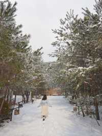 눈이 오면 꼭 다녀와야 할 설경 숙소❄️🩵 