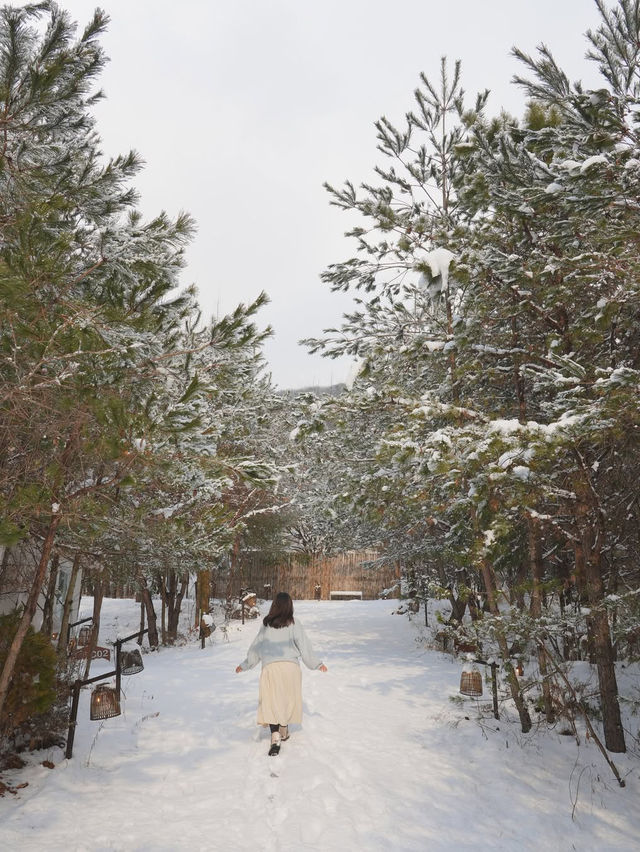 눈이 오면 꼭 다녀와야 할 설경 숙소❄️🩵 