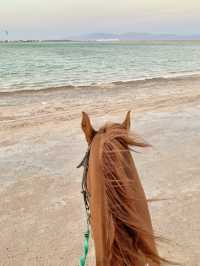 🇪🇬에메랄드 해변따라 말타며 석양까지! 라구나비치🐎🌅