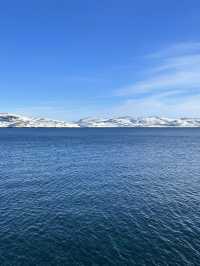 🐋 Whales watching in Teriberka