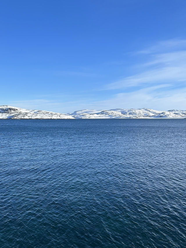 🐋 Whales watching in Teriberka