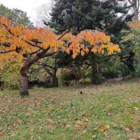 Sefton Park (Liverpool)