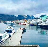 Enchanted by Hamnøy's Arctic Splendor