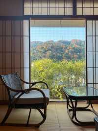 【鳥取/三朝温泉】病が消える温泉？！を堪能できる宿♨️