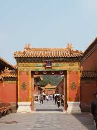 Unlocking the Secrets of the Forbidden City: A Morning of Imperial Splendor