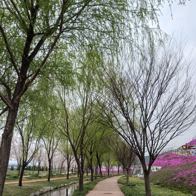 "숨은 보석 같은 거창 창포원, 자연을 만나다"